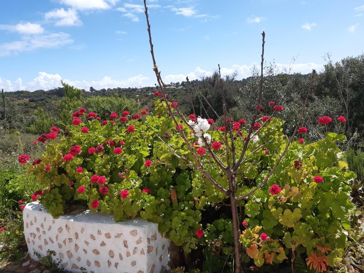 Ferienwohnung Quinta Da Jolanda-Happy Family Farm Lagos Exterior foto