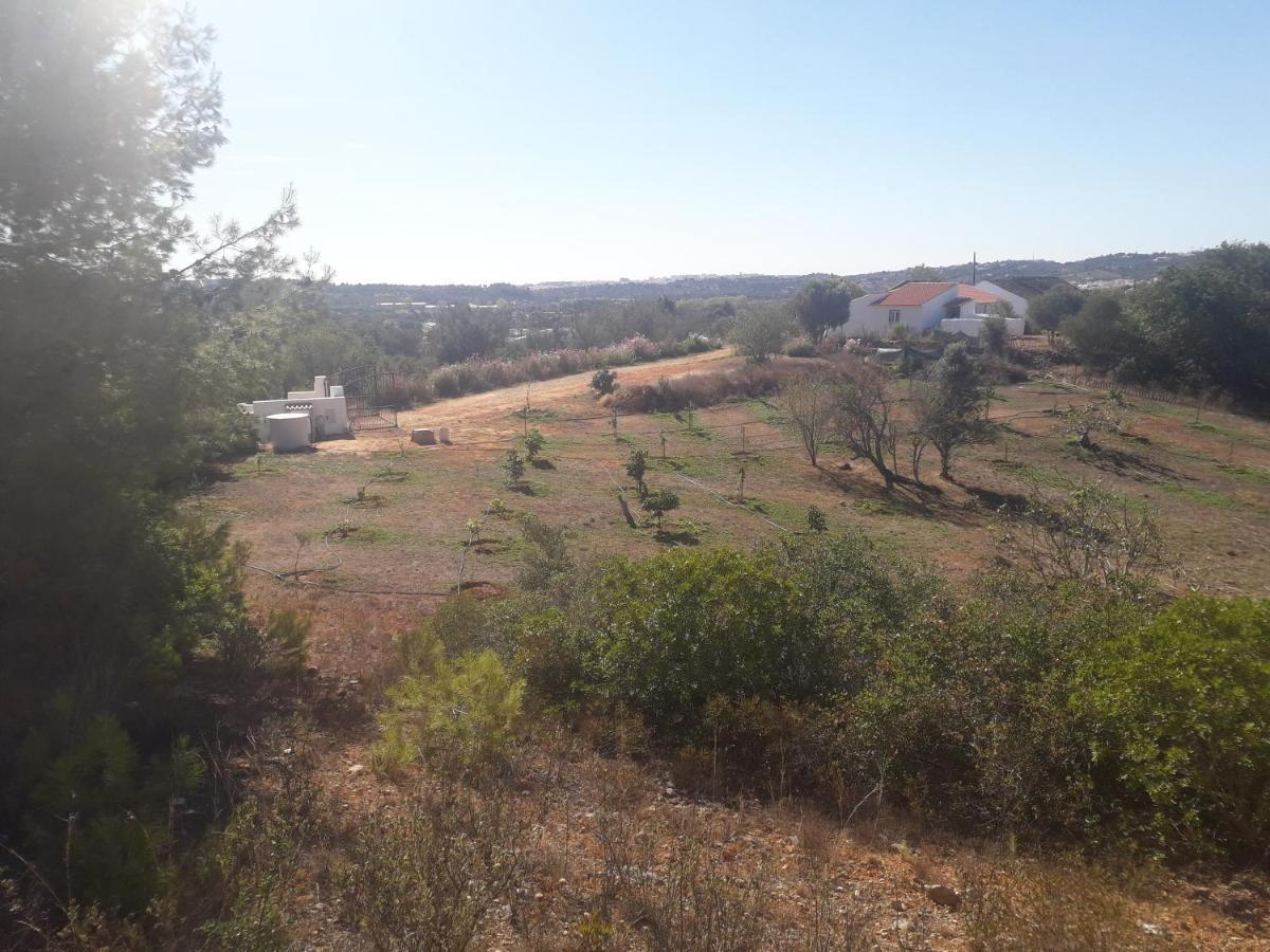 Ferienwohnung Quinta Da Jolanda-Happy Family Farm Lagos Exterior foto